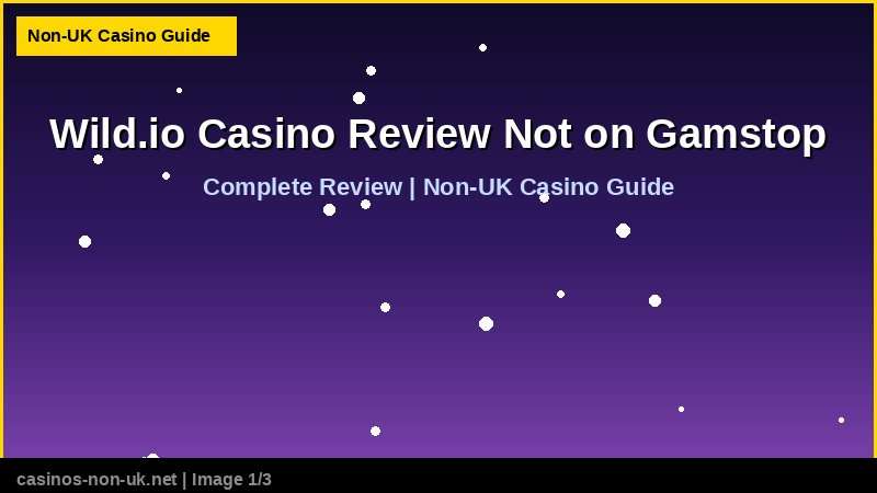 Wild.io Casino Review Not on Gamstop 37 Wild.io Casino Review Not on Gamstop - complete review at non-UK casino