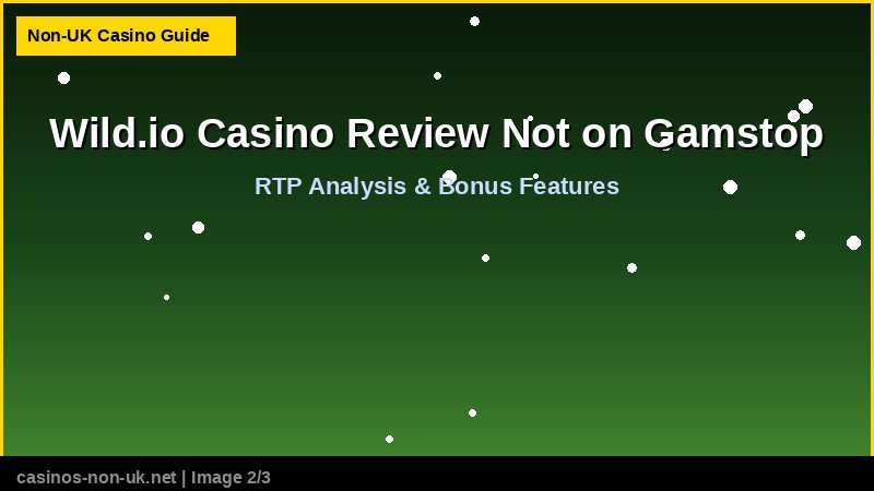 Wild.io Casino Review Not on Gamstop 38 Wild.io Casino Review Not on Gamstop - RTP and bonus features guide