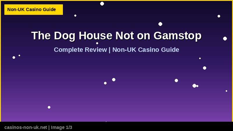 The Dog House Not on Gamstop